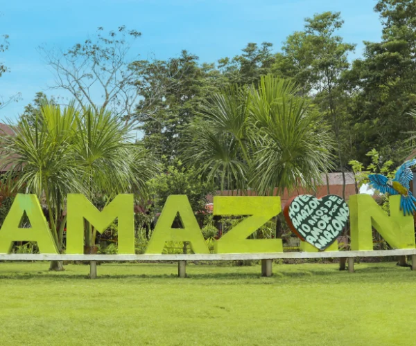 AMAZON_2_4